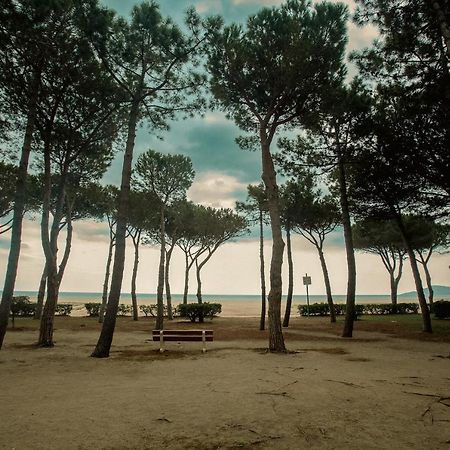 Appartement T2 Les Pieds Dans L'Eau A Argelès-sur-Mer Εξωτερικό φωτογραφία