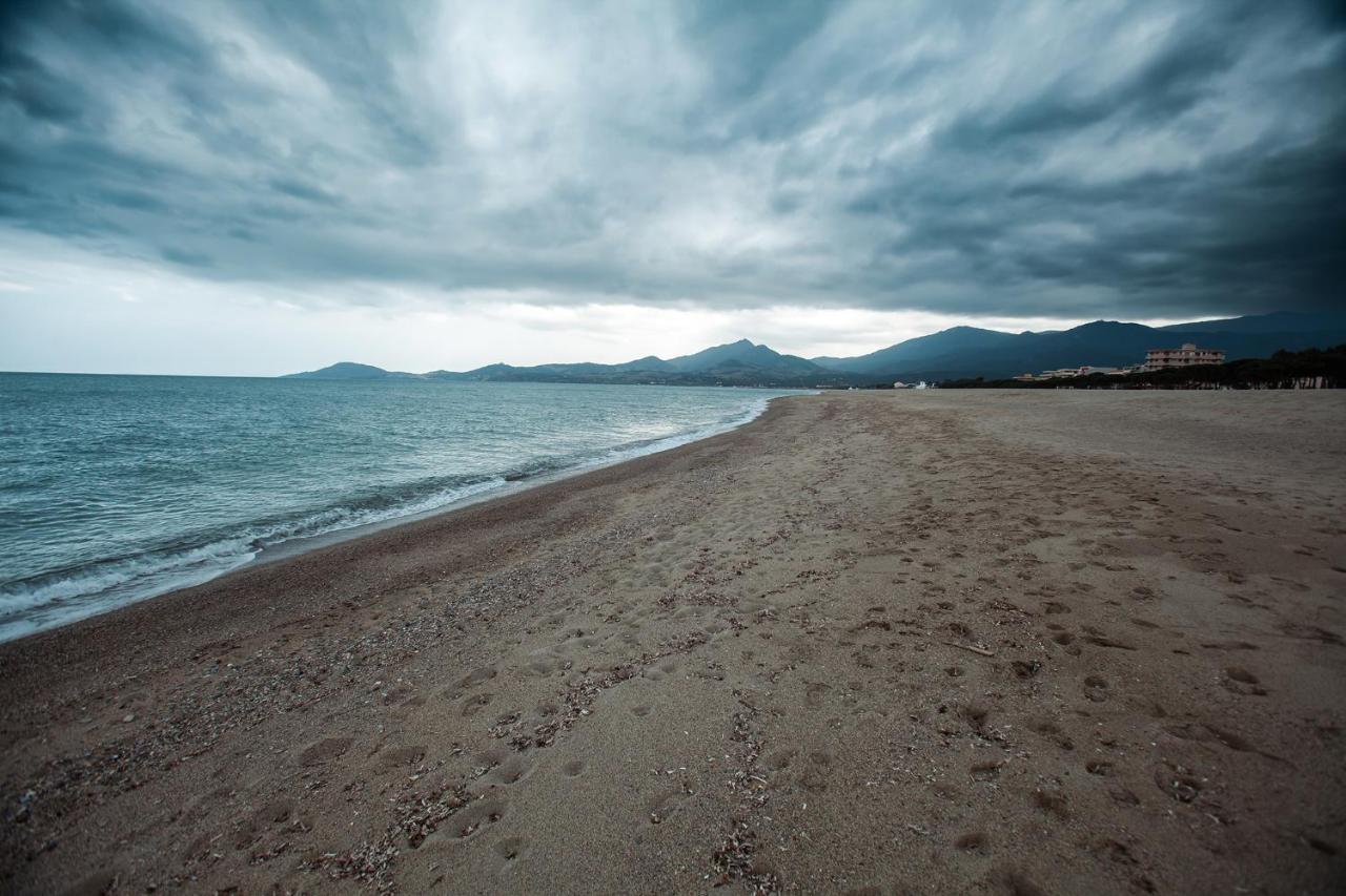 Appartement T2 Les Pieds Dans L'Eau A Argelès-sur-Mer Εξωτερικό φωτογραφία